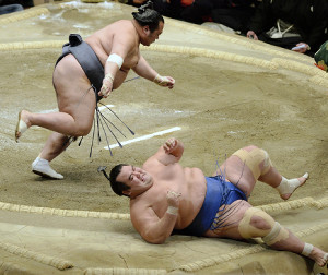 琴奨菊1敗守った、白鵬手痛い2敗目 初場所