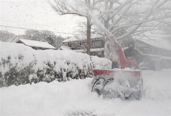 こんなに寒いのに…春の訪れ早まる見通し ２～４月予報 エルニーニョ現象の影響