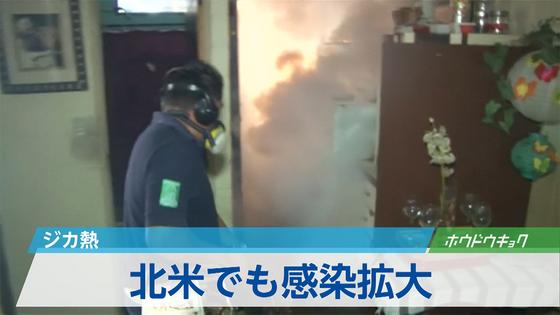 ＷＨＯ警告、ジカ熱、１年で３００万～４００万人感染の恐れ
