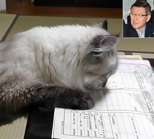 【ZOOM東北】 秋田 動物殺処分ゼロ目指す 背景に「猫知事」の情熱