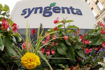 中国化工、スイス農薬最大手を買収 430億ドルで
