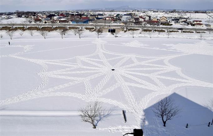 田んぼに巨大な「雪の結晶」 青森・田舎館村