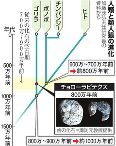 人類の祖先誕生、通説より100万年以上古い?