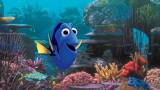 ニモたちが帰ってきた！ 『ファインディング・ドリー』映像初公開