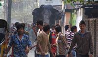 インドの街で野生ゾウ大暴れ! やじ馬がスマホ撮影で大混乱…建物約100カ所被害