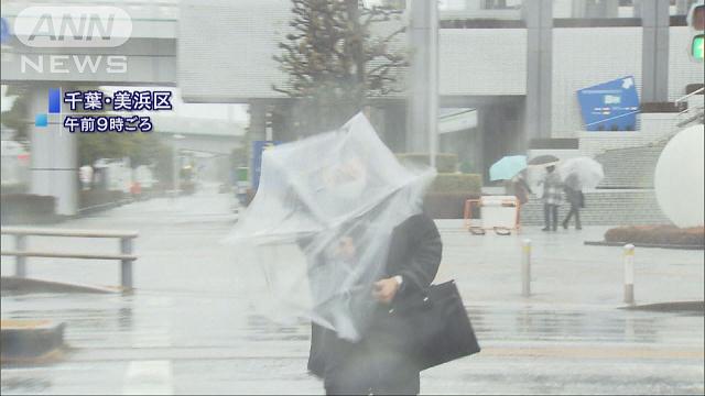 東海地方でも春一番 3年ぶりの観測