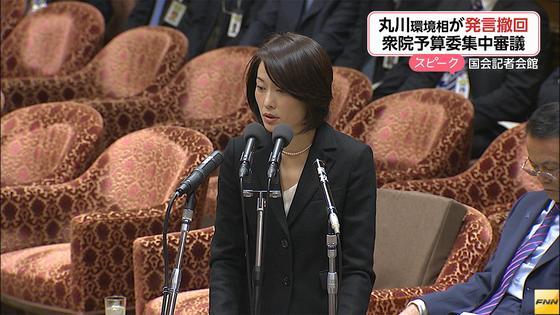 「丸川環境相は資格なし」=民主・長妻氏