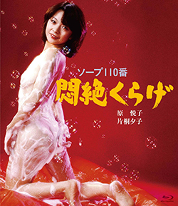日活ロマンポルノ45周年記念BD/DVD、全80タイトルの情報が公開に