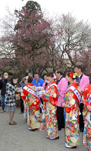 水戸の梅まつり開幕 偕楽園は早咲き1200本見ごろ