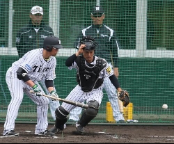 金本監督バント失敗に苦言 平田チーフコーチ辞表?