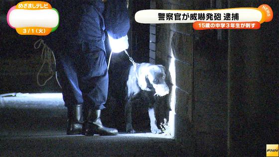警官発砲、15歳中学生を逮捕 - 刃物で刺され男性けが