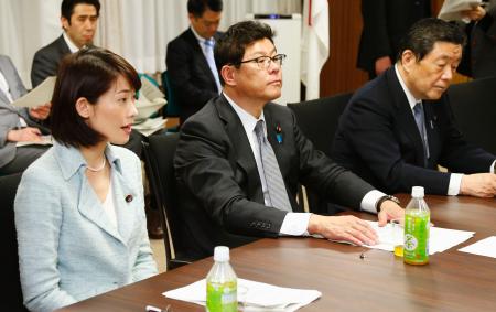 福島第1原発事故 森林除染、10地区程度で 政府方針