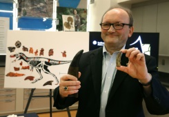 T・レックスに「ウマ」サイズの近縁種、進化解明のカギに