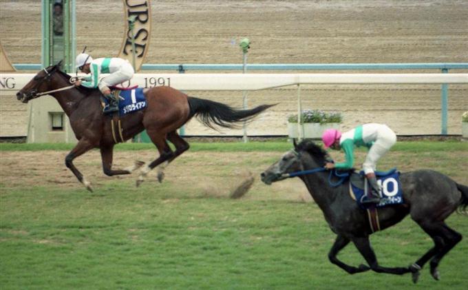 メジロライアン死す 29歳 91年宝塚記念V 横山典弘とコンビ