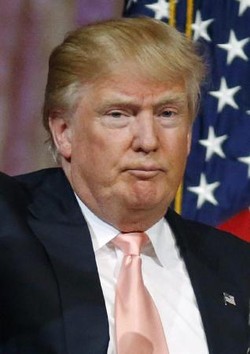 トランプ氏、日韓の核保有容認も - ＮＹタイムズ電子版
