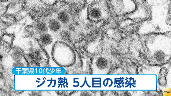 白井の男性が感染 県内初 /千葉