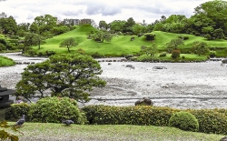 地下水、地震後に異変…水前寺公園の池干上がる
