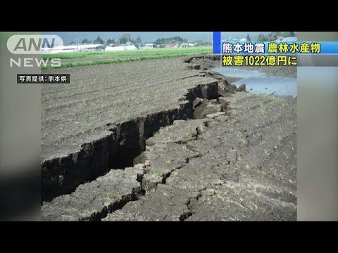 熊本地震、農林水産被害1千億円超…阪神上回る 2016年05月01日 22時53分