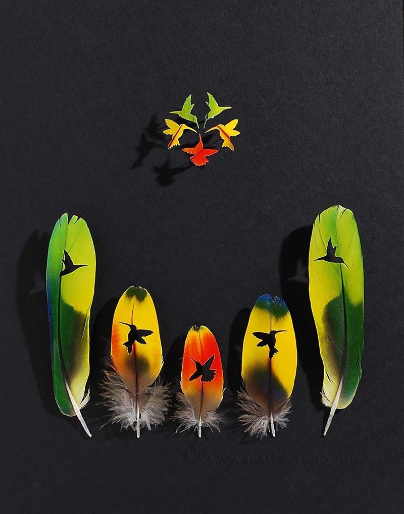 Wonderful Feather Art 